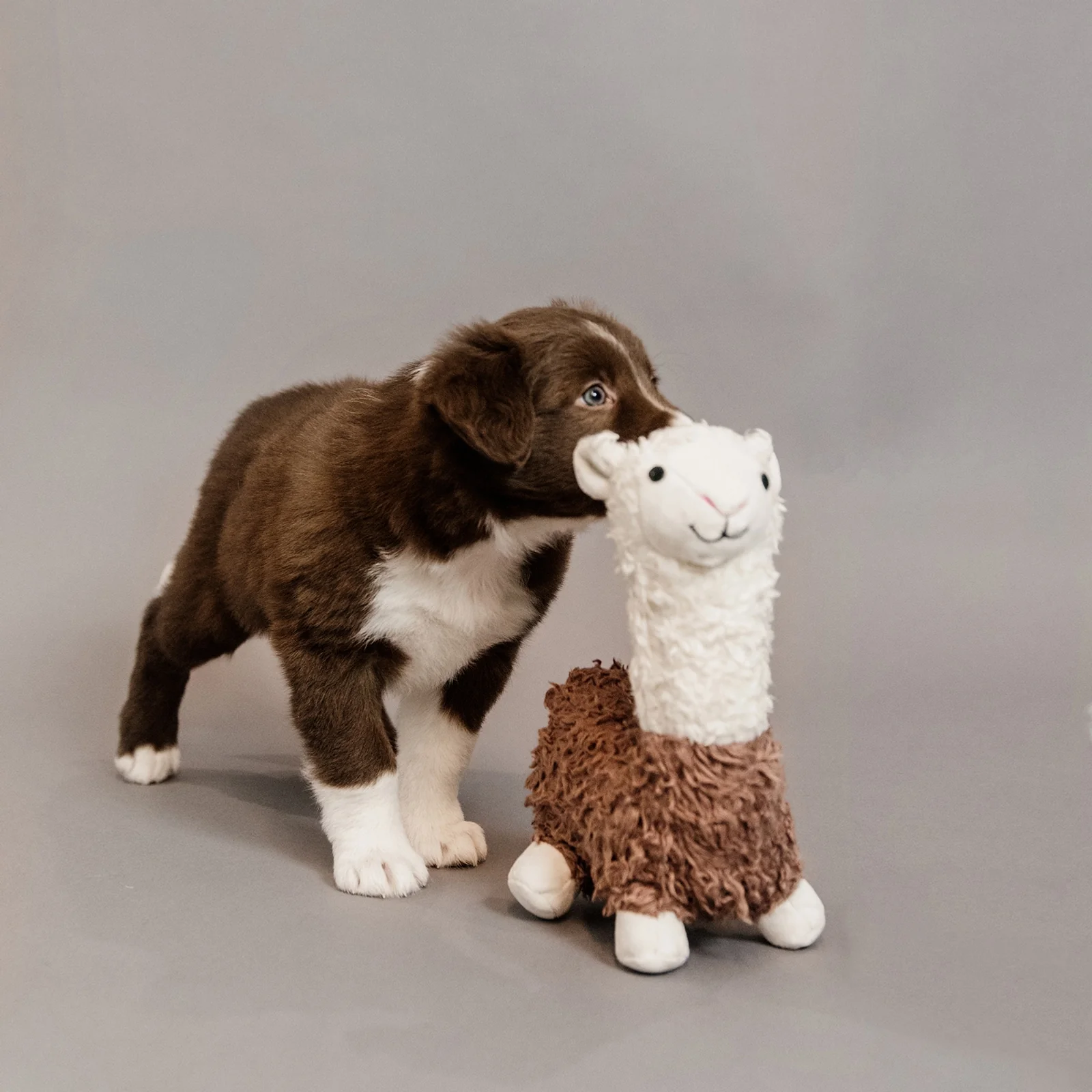 Miniature 1